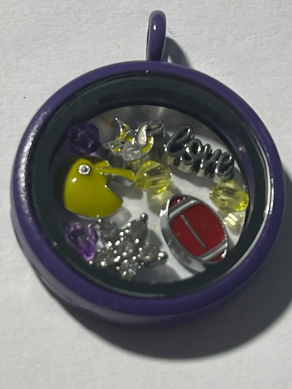Minnesota Vikings NFL Memory Charm Locket w/ 22 IN chain NEW